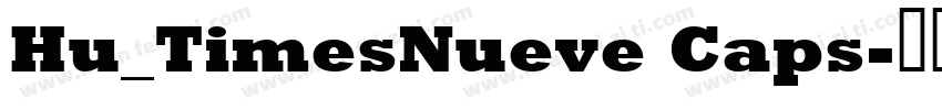 Hu_TimesNueve Caps字体转换